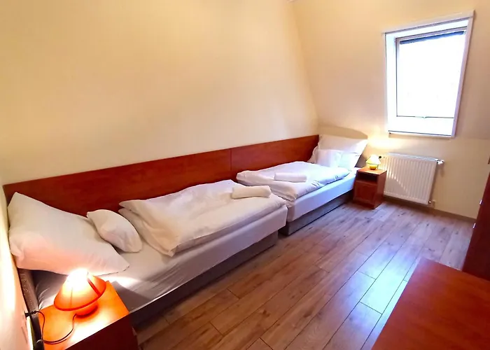 Apartament Patak-party *